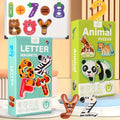 Magnetic Letters Educational Cards